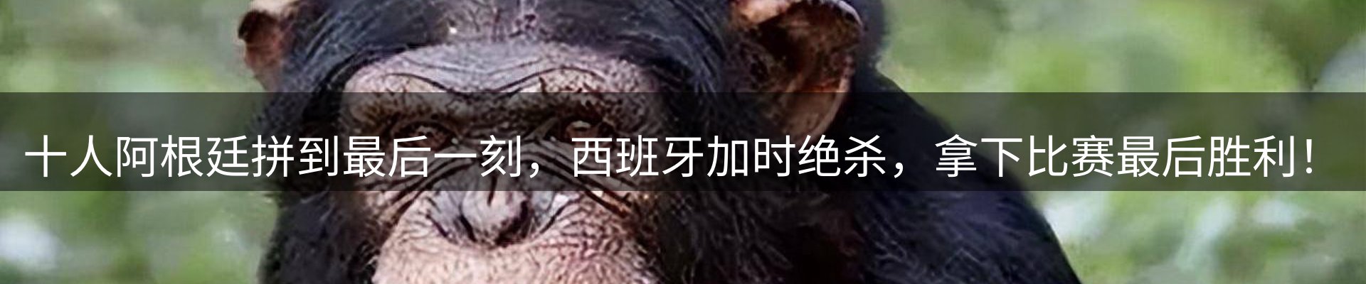 今日资讯