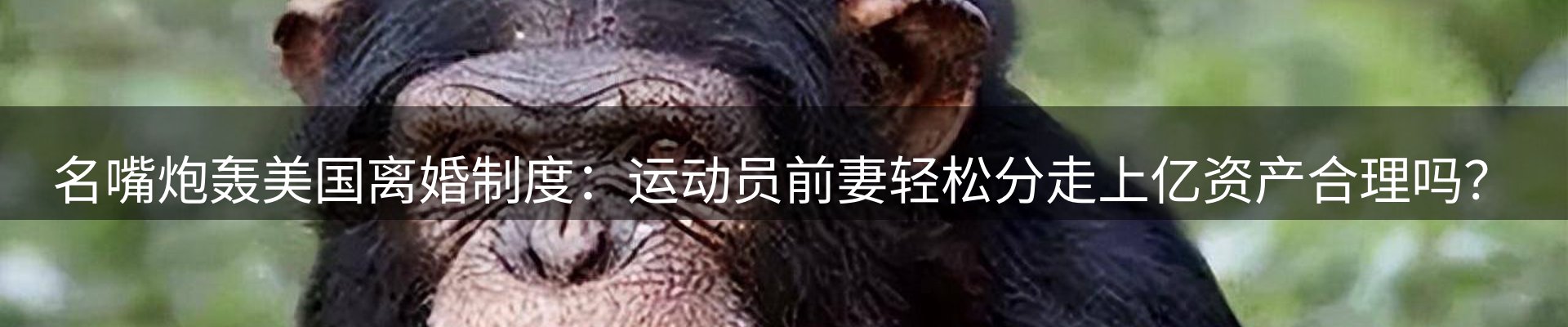 今日资讯