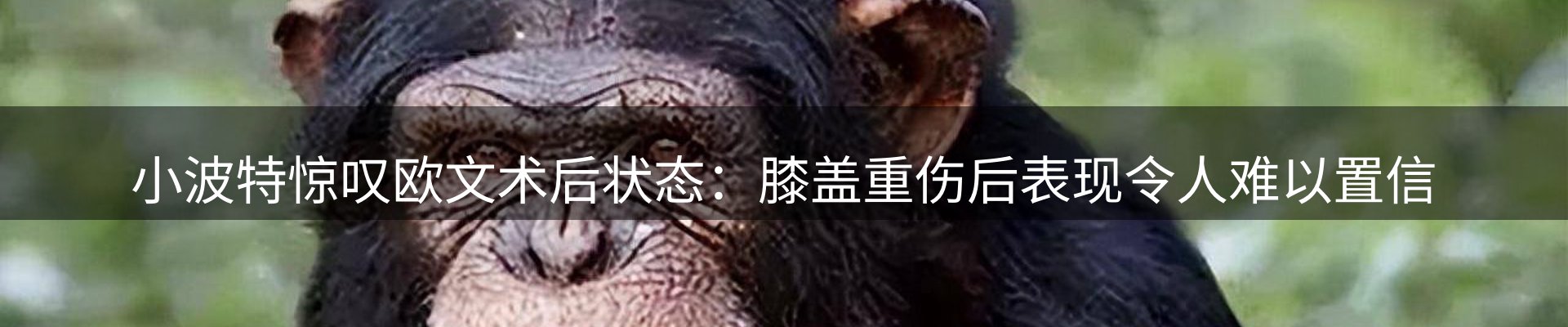 新闻图鉴