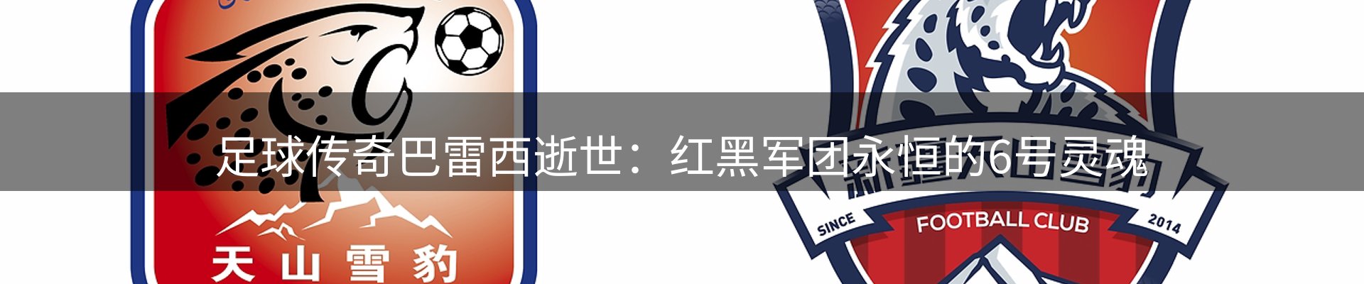 今日资讯